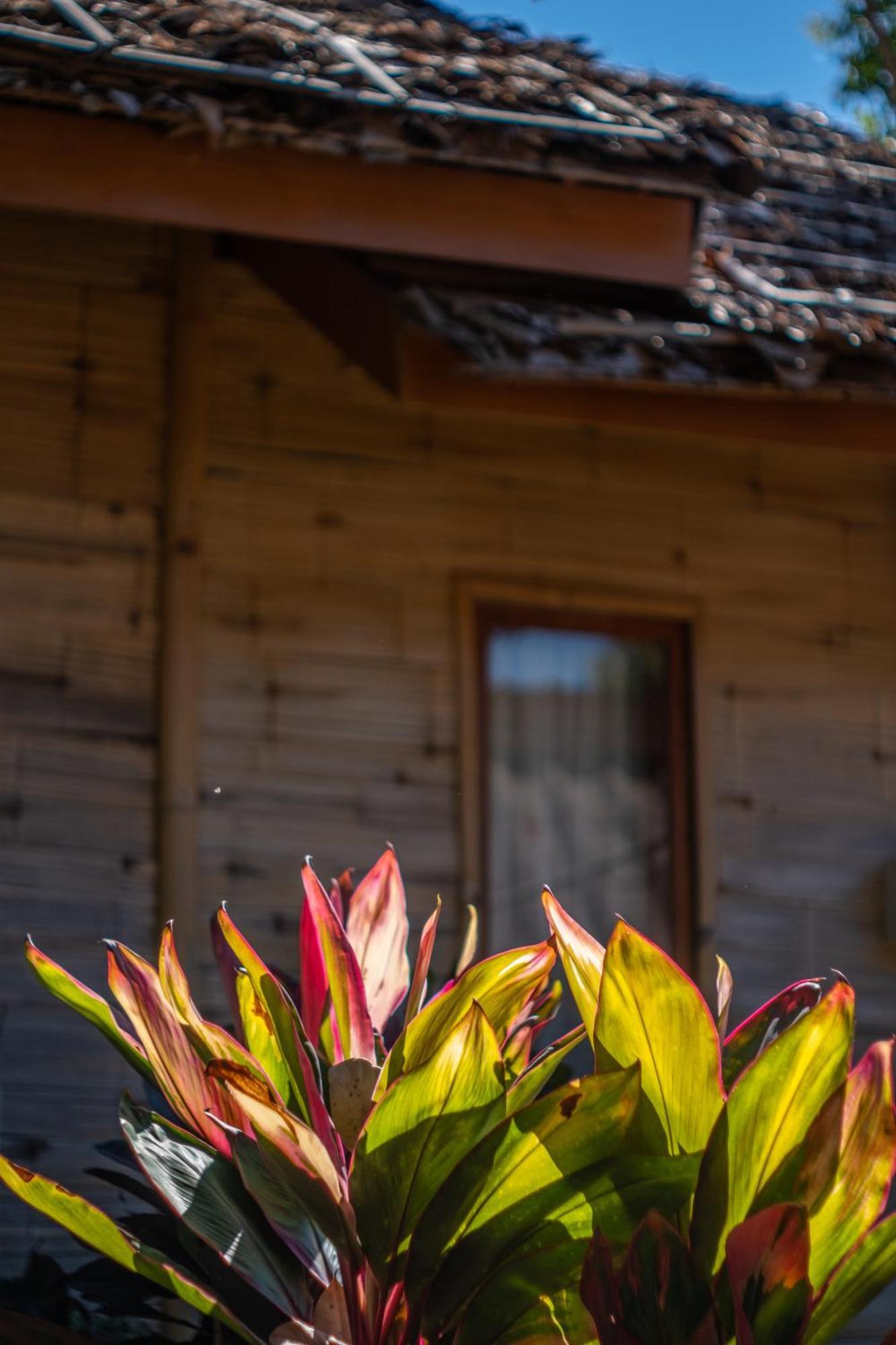 The Nest House Hotel Pai Exterior photo