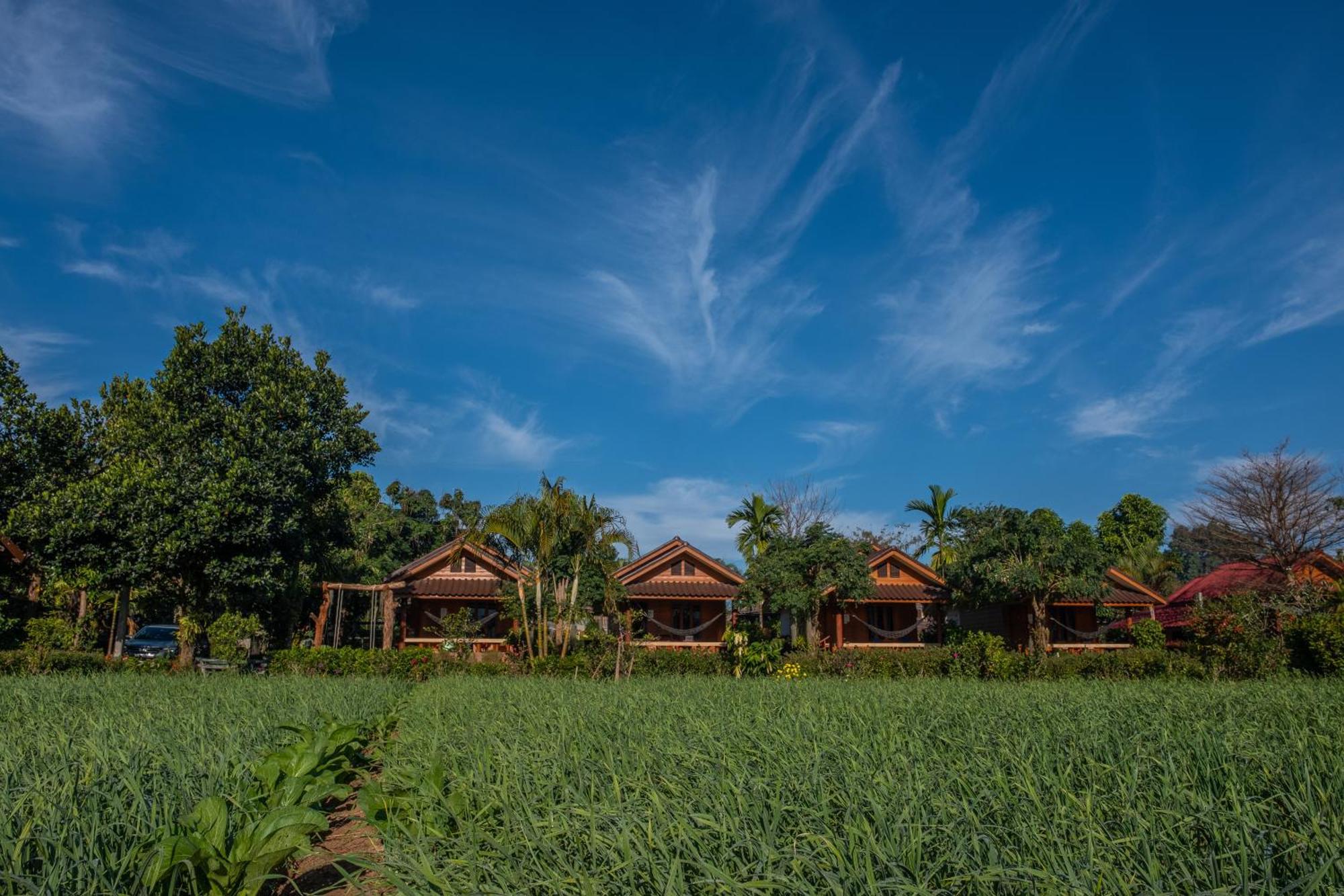 The Nest House Hotel Pai Exterior photo